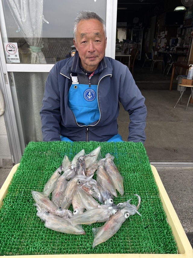 マルイカ(ケンサキイカ)