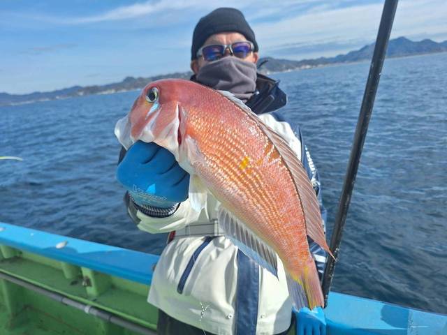 アマダイ(アカアマダイ)