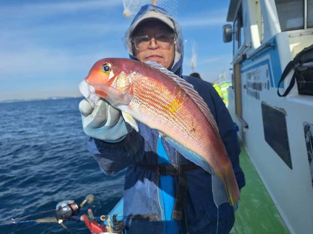 アマダイ(アカアマダイ)