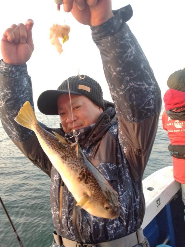 ショウサイフグ