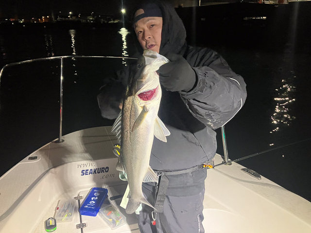 シーバス(スズキ)