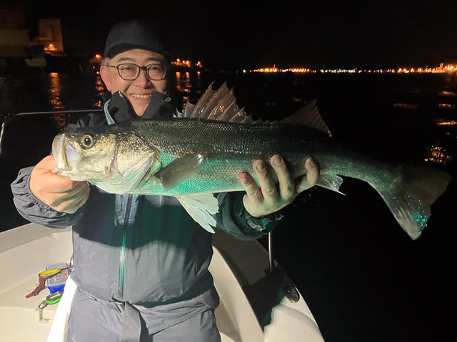 シーバス(スズキ)