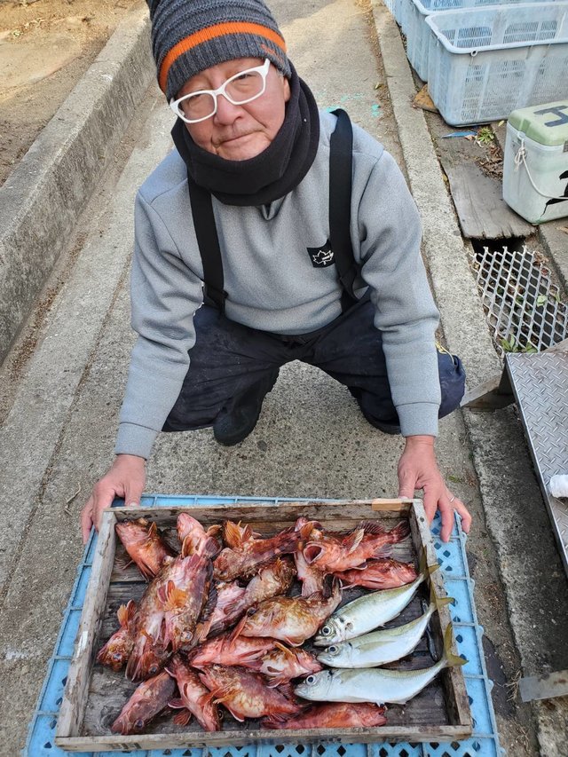 マアジ・ガシラ(カサゴ)