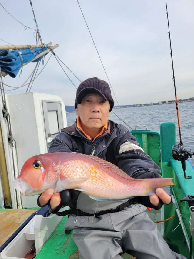 アマダイ(アカアマダイ)