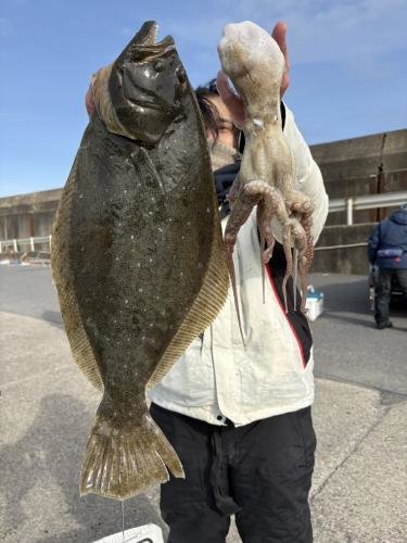 ヒラメ・タコ(マダコ)