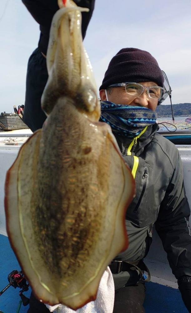 モンゴウイカ(カミナリイカ)