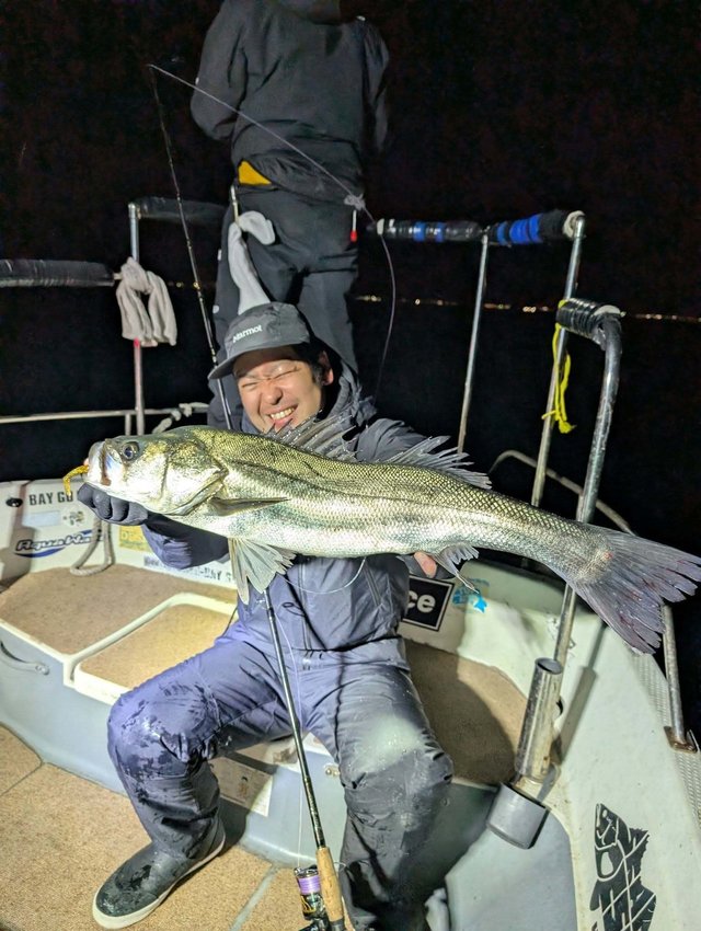 シーバス(スズキ)