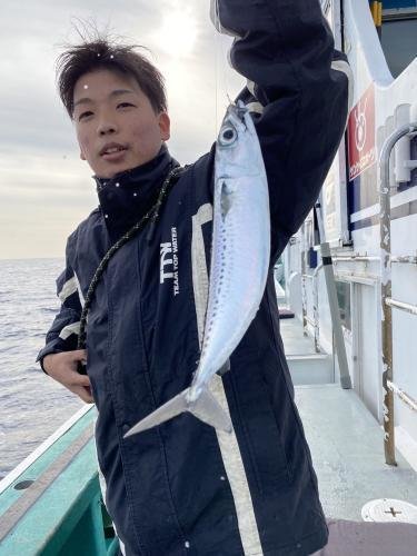 サバ(ゴマサバ)