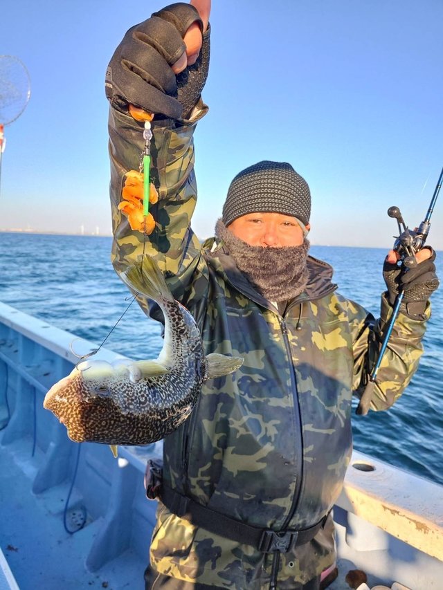 ショウサイフグ