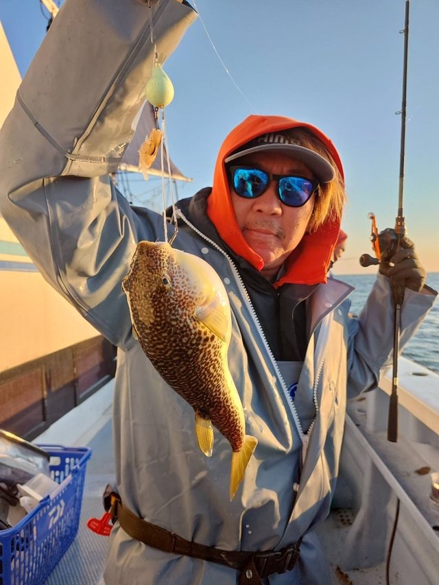 ショウサイフグ