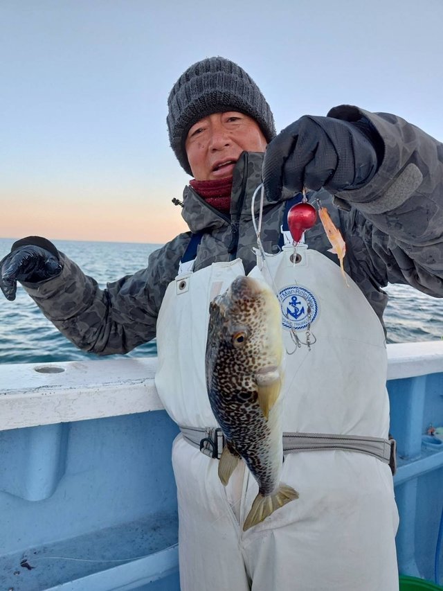 ショウサイフグ