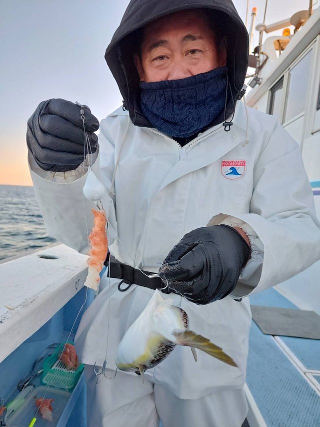 ショウサイフグ