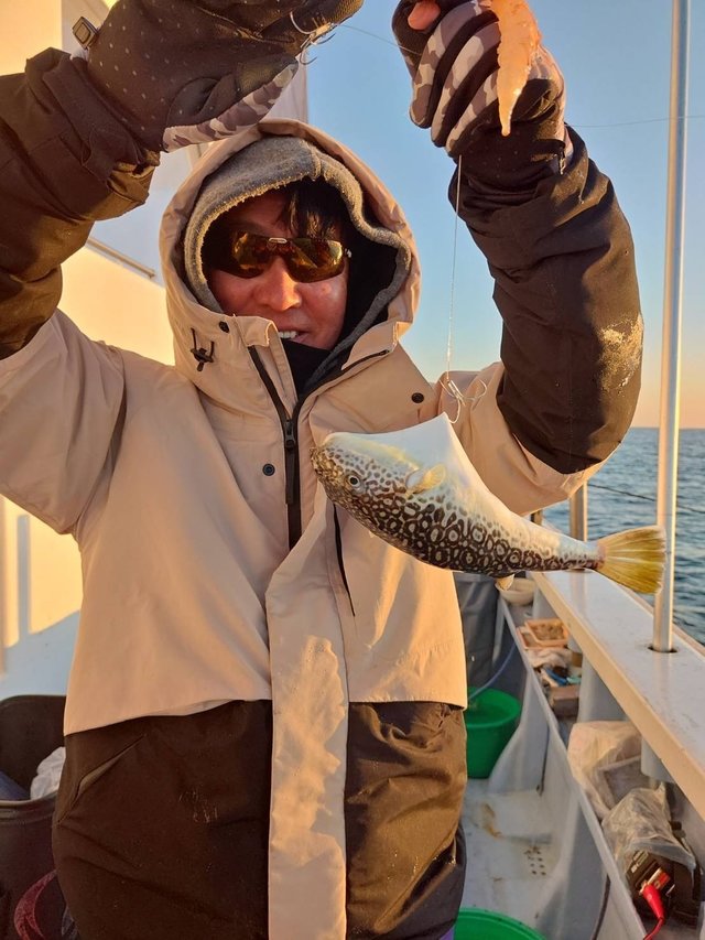 ショウサイフグ