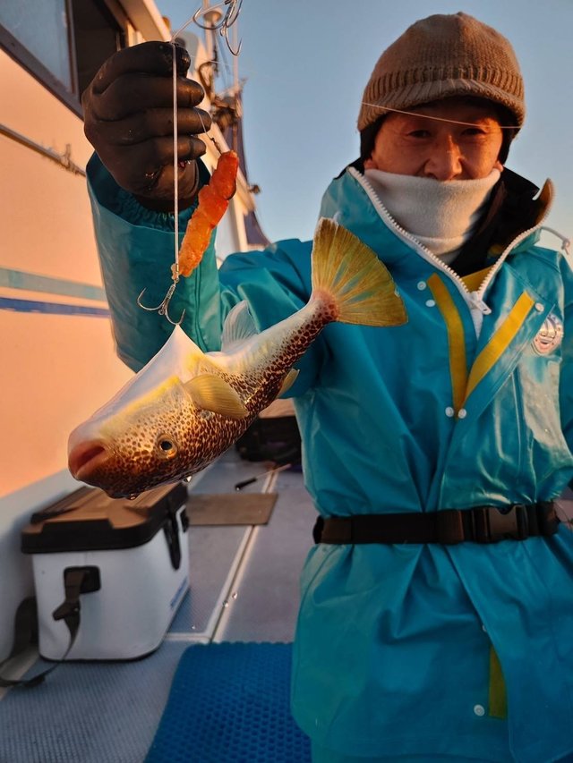 ショウサイフグ