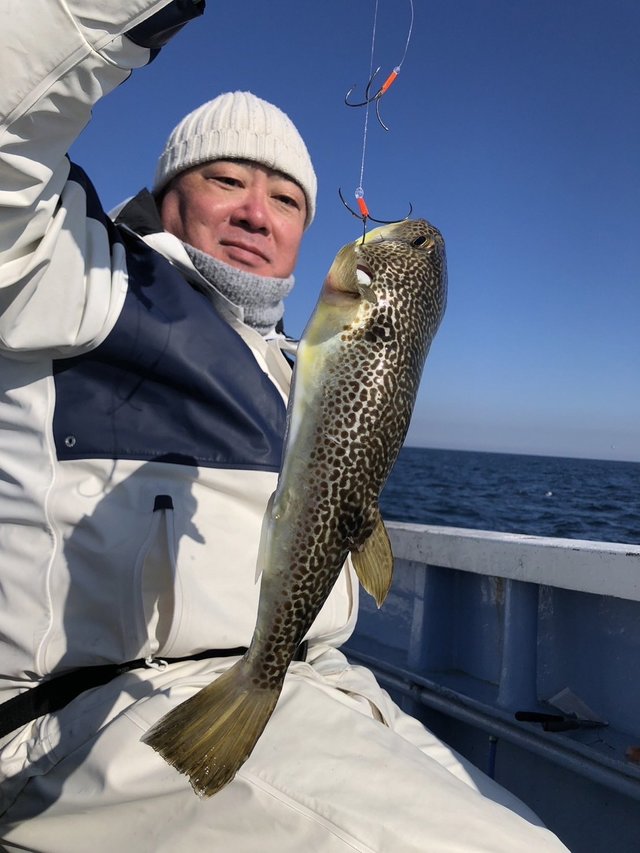 ショウサイフグ