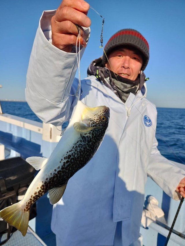 ショウサイフグ