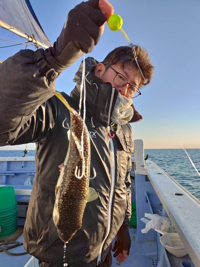 ショウサイフグ