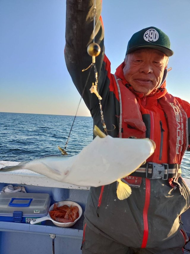 ショウサイフグ