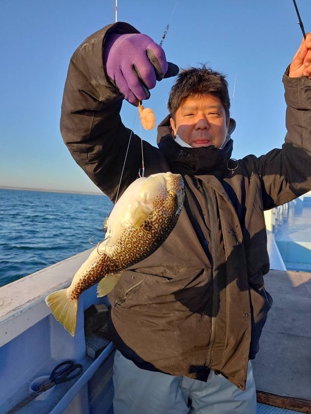 ショウサイフグ