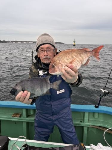 マダイ・イシダイ