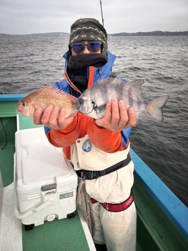 マダイ・イシダイ