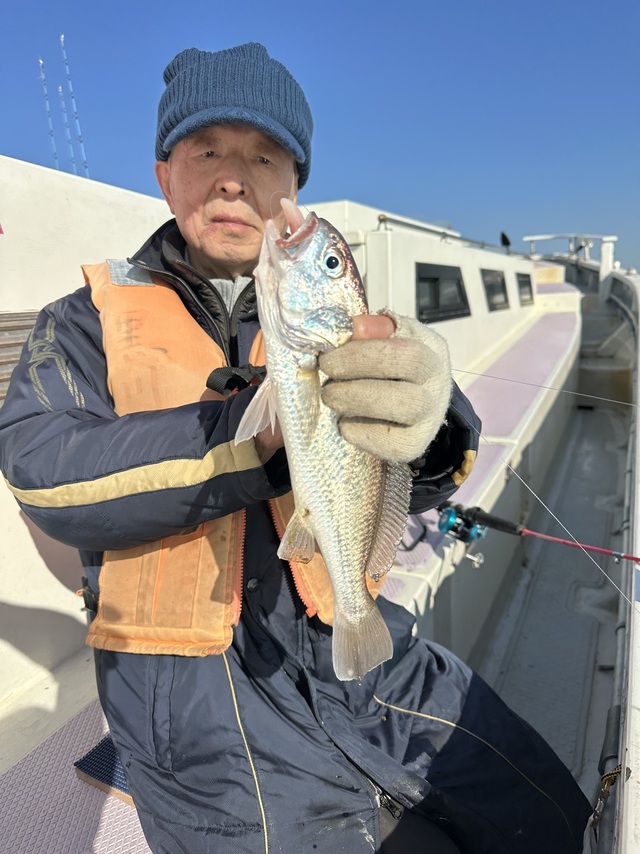 イシモチ(シログチ)