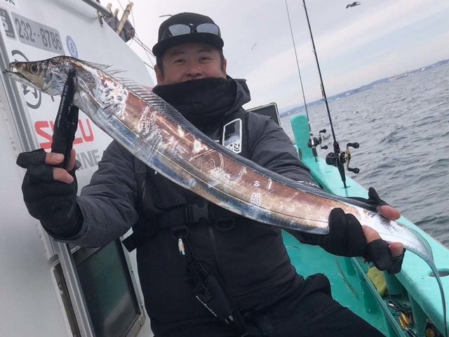 タチ(タチウオ)