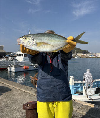 シマアジ