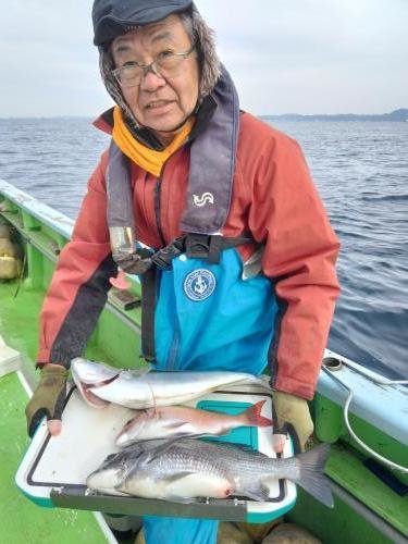 マダイ・クロダイ・イナダ(ブリ)