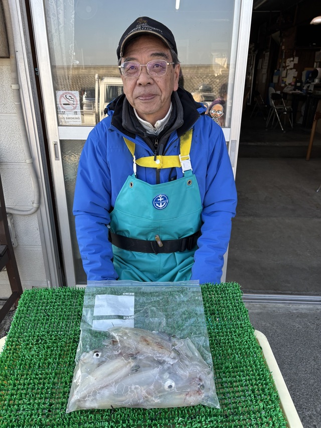 マルイカ(ケンサキイカ)