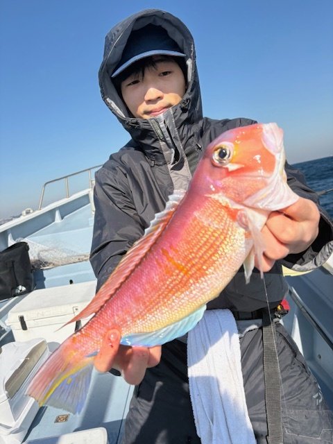 アマダイ(アカアマダイ)