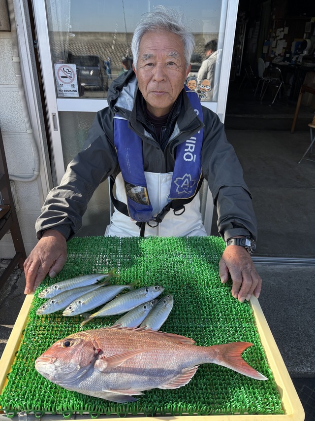 マダイ・アジ(マアジ)