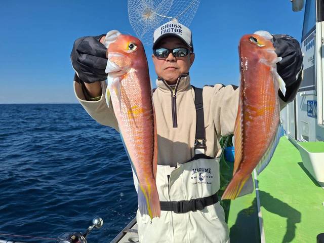 アマダイ(アカアマダイ)