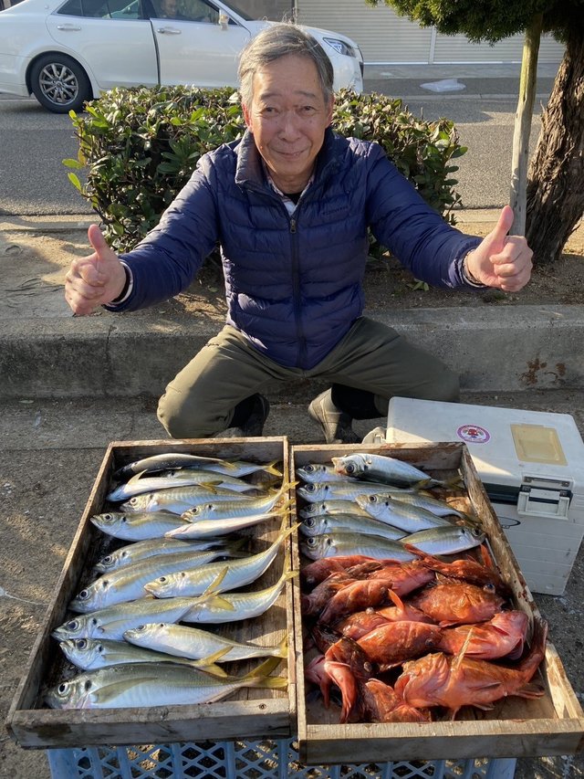 マアジ・ガシラ(カサゴ)