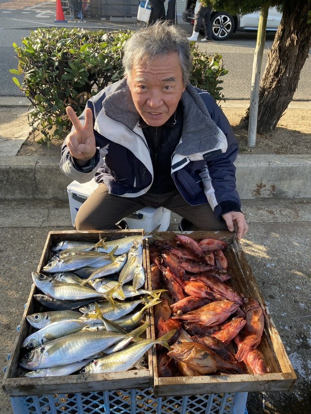 マアジ・ガシラ(カサゴ)