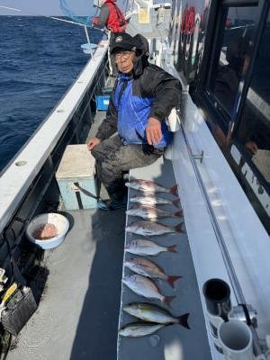 マダイ・コダイ(マダイ)・イサキ