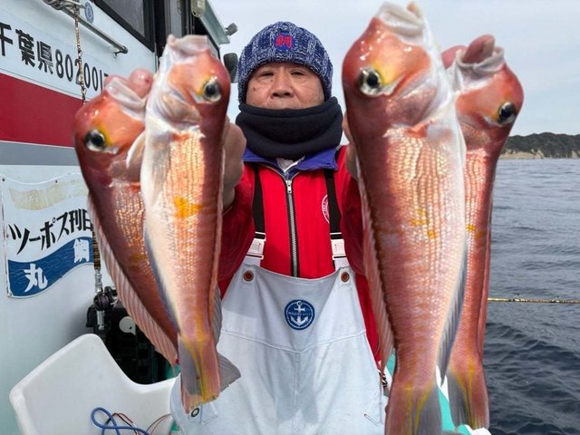 アマダイ(アカアマダイ)