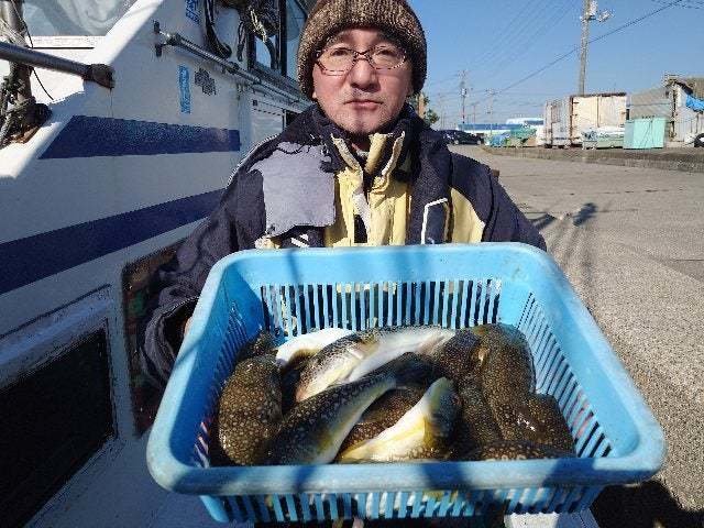 ショウサイフグ