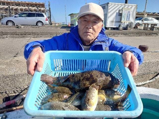 ヒガンフグ・ショウサイフグ