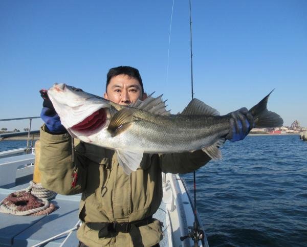 シーバス(スズキ)