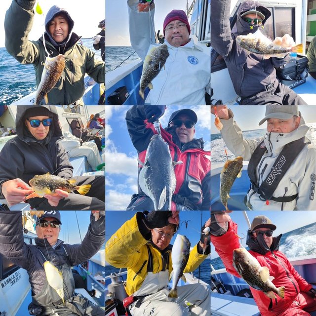 ショウサイフグ