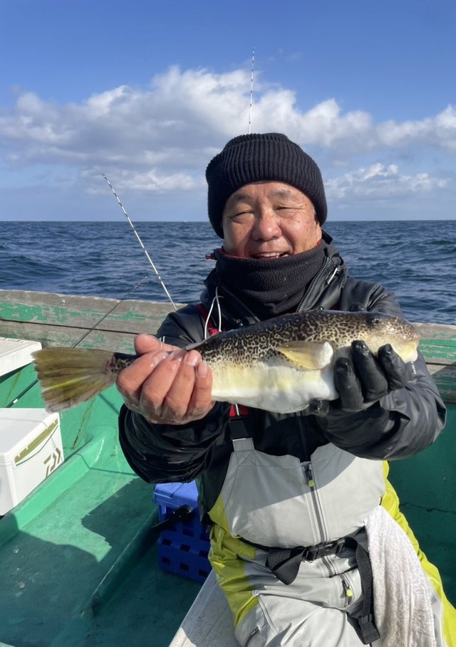 ショウサイフグ