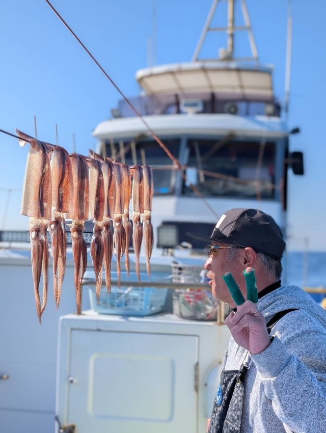 スルメ(スルメイカ)