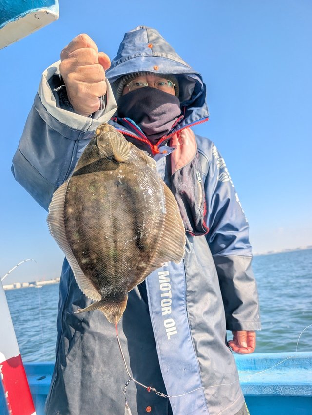 カレイ(マコガレイ)