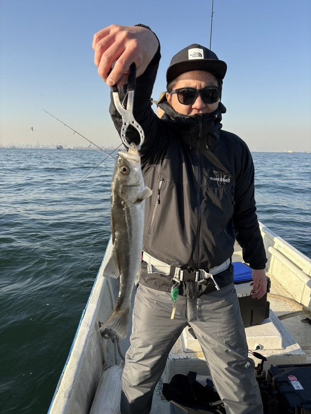 シーバス(スズキ)