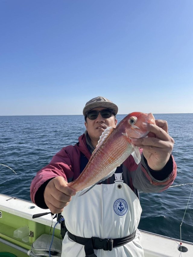 アマダイ(アカアマダイ)