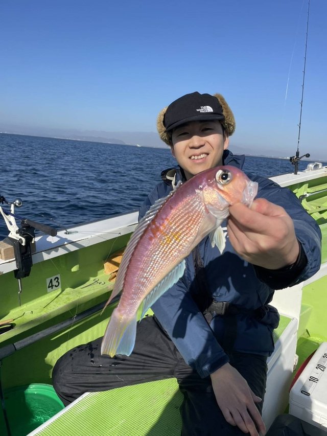 アマダイ(アカアマダイ)