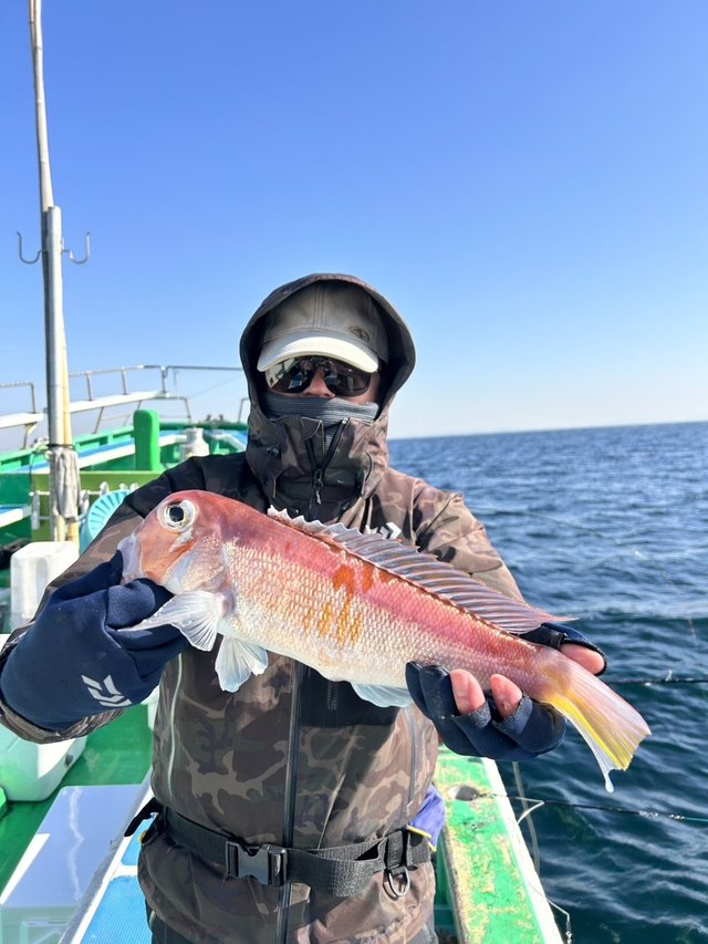 アマダイ(アカアマダイ)