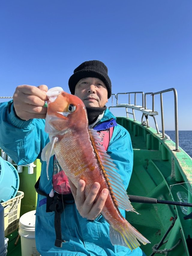 アマダイ(アカアマダイ)