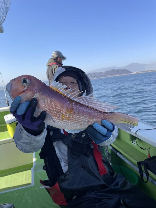 アマダイ(アカアマダイ)